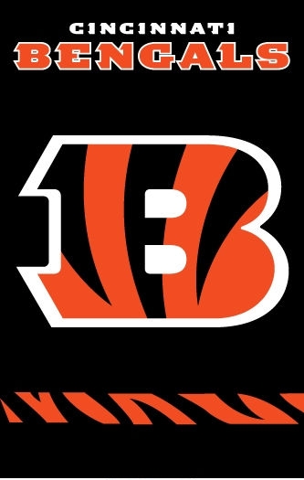 Bengals Applique Banner 44" x 28"