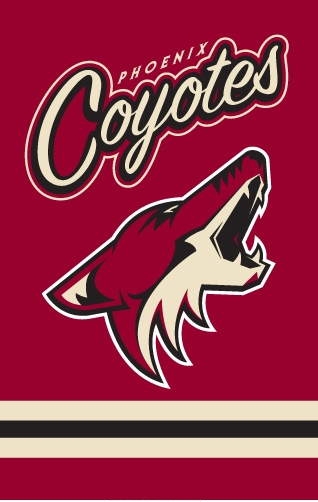 Phoenix Coyotes Applique Banner Flag 44" x 28"