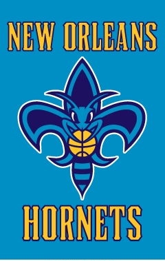 New Orleans Hornets Applique Banner Flag 44" x 28"