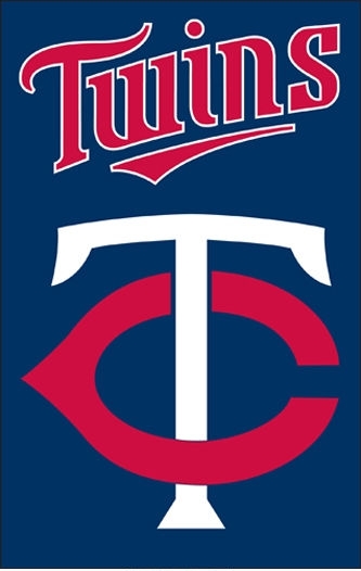 Twins Applique Banner Flag 44" x 28"