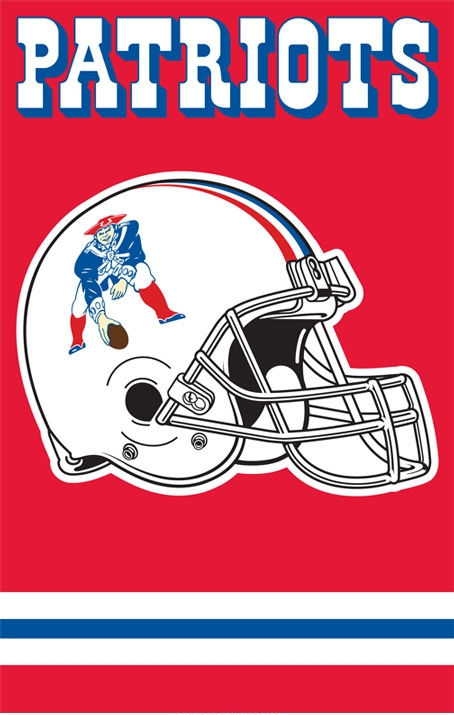 "Pat" the Patriot Applique Banner 44" x 28"