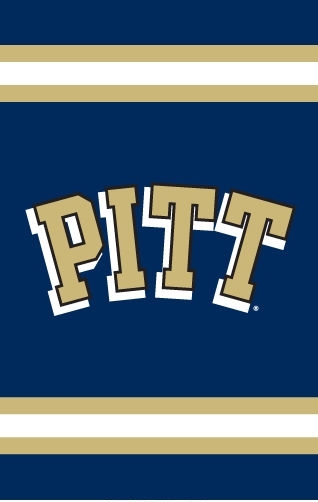 Pittsburgh Panthers Applique Banner Flag 44" x 28"