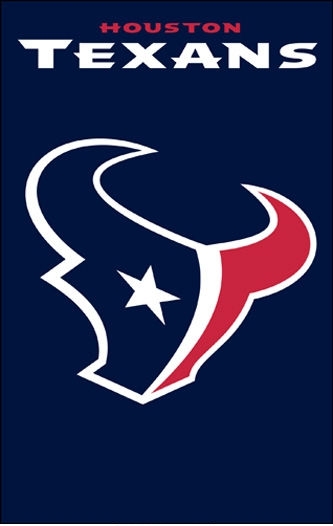 Texans Applique Banner 44" x 28"