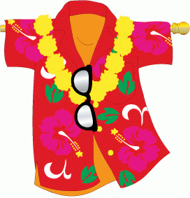 Aloha House Flag