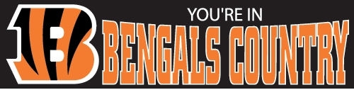 Bengals Banner 8' x 2'