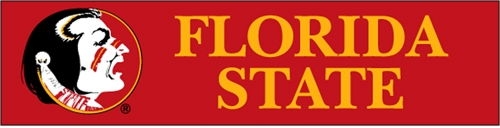 Florida State Seminoles Banner 8' x 2'