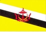 2' x 3' Brunei flag