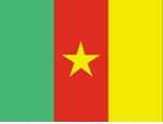 2' x 3' Cameroon flag