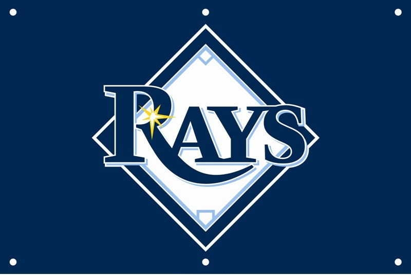 Rays Fan Banner 2' x 3'