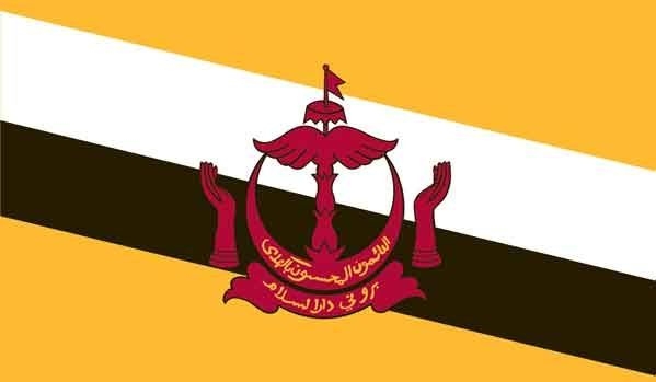 3' x 5' Brunei High Wind, US Made Flag