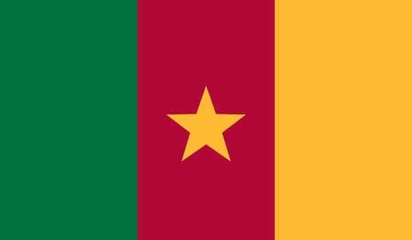 3' x 5' Cameroon High Wind, US Made Flag