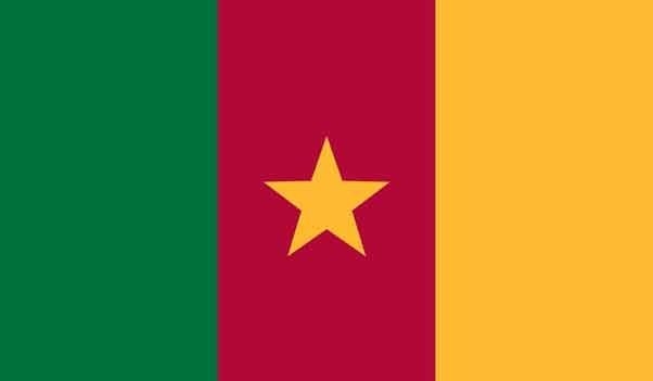 5' x 8' Cameroon High Wind, US Made Flag