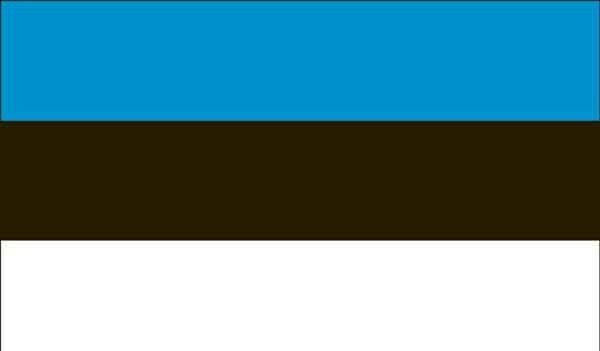 4' x 6' Estonia High Wind, US Made Flag
