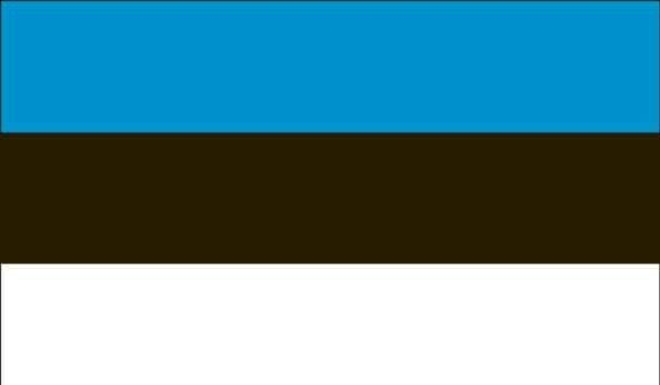 5' x 8' Estonia High Wind, US Made Flag