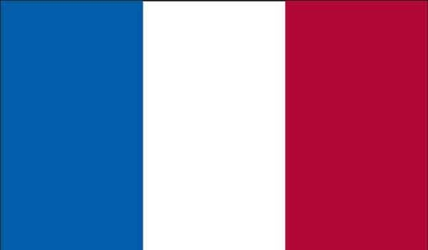 2' x 3' France High Wind, US Made Flag