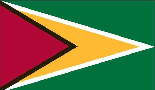 4' x 6' Guyana High Wind, US Made Flag
