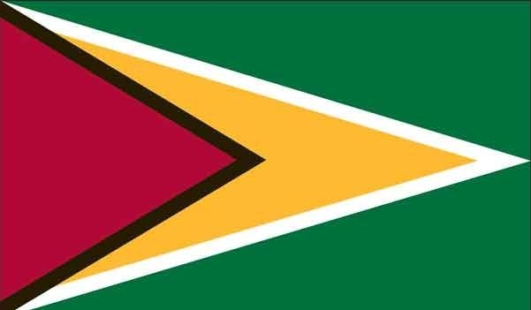5' x 8' Guyana High Wind, US Made Flag