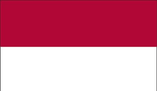 2' x 3' Indonesia High Wind, US Made Flag