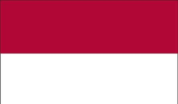 4' x 6' Indonesia High Wind, US Made Flag