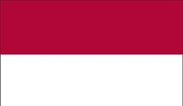 5' x 8' Indonesia High Wind, US Made Flag