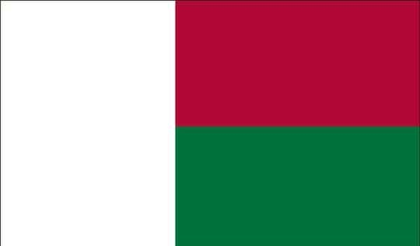 2' x 3' Madagascar High Wind, US Made Flag