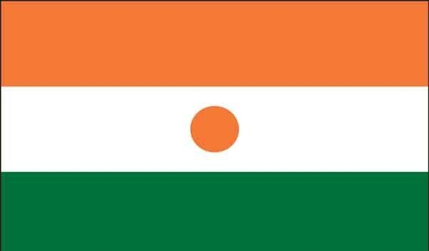 2' x 3' Niger High Wind, US Made Flag