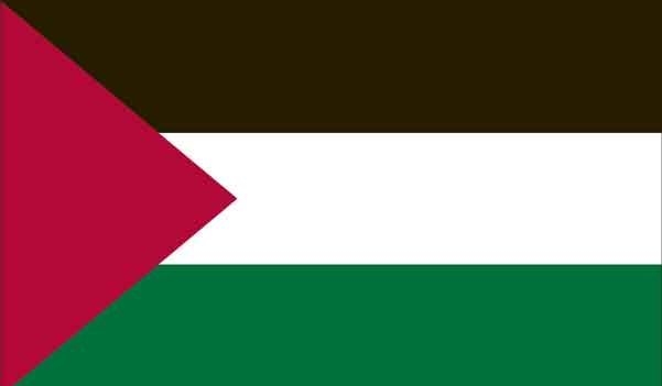 2' x 3' Palestine High Wind, US Made Flag