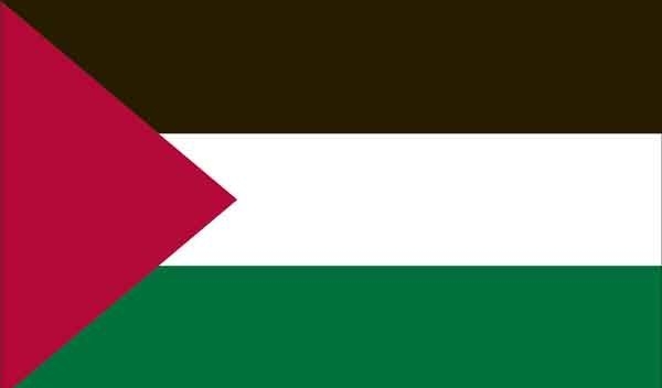4' x 6' Palestine High Wind, US Made Flag