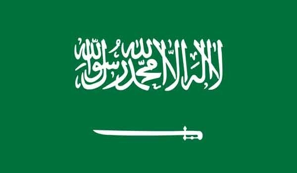2' x 3' Saudi Arabia High Wind, US Made Flag