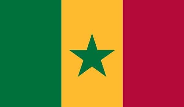 2' x 3' Senegal High Wind, US Made Flag