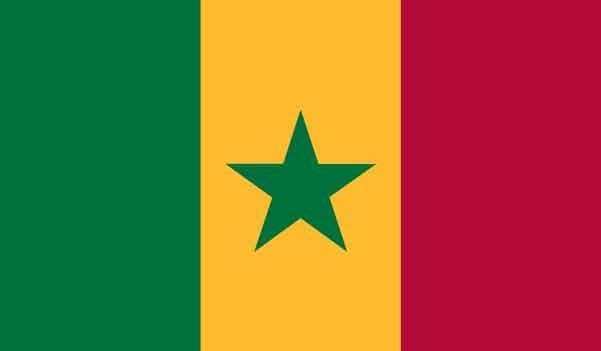5' x 8' Senegal High Wind, US Made Flag