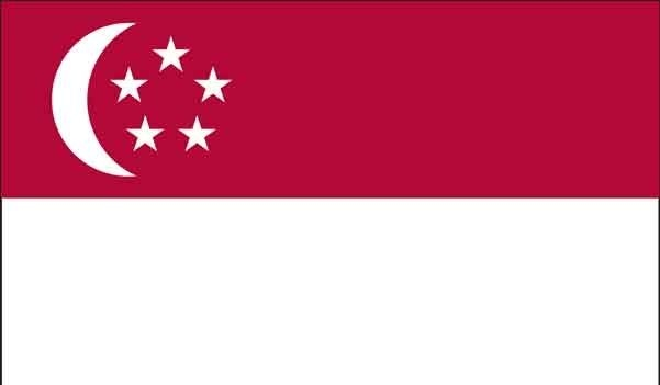2' x 3' Singapore High Wind, US Made Flag