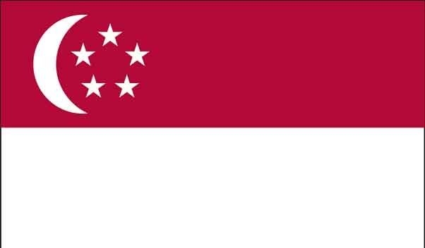 3' x 5' Singapore High Wind, US Made Flag