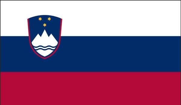 2' x 3' Slovenia High Wind, US Made Flag
