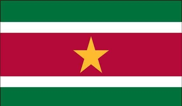 2' x 3' Suriname High Wind, US Made Flag