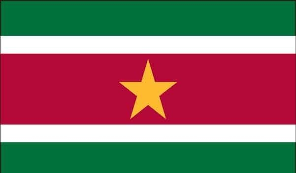 3' x 5' Suriname High Wind, US Made Flag