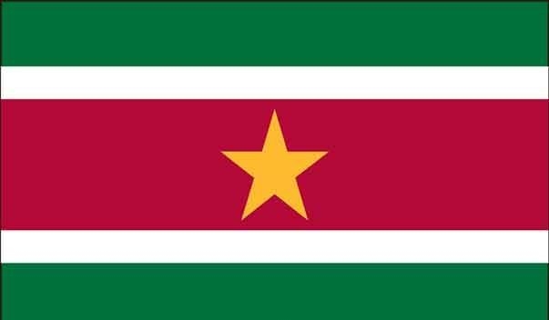 5' x 8' Suriname High Wind, US Made Flag
