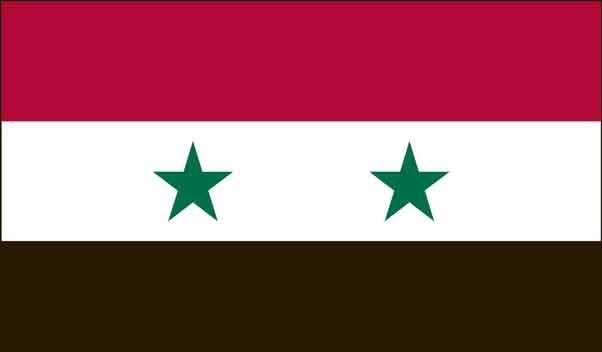 2' x 3' Syria High Wind, US Made Flag