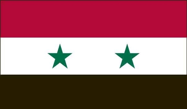 5' x 8' Syria High Wind, US Made Flag
