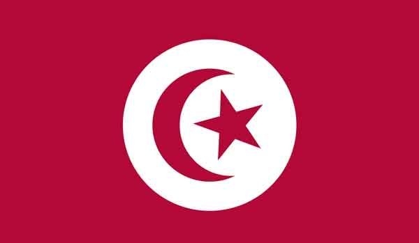 2' x 3' Tunisia High Wind, US Made Flag