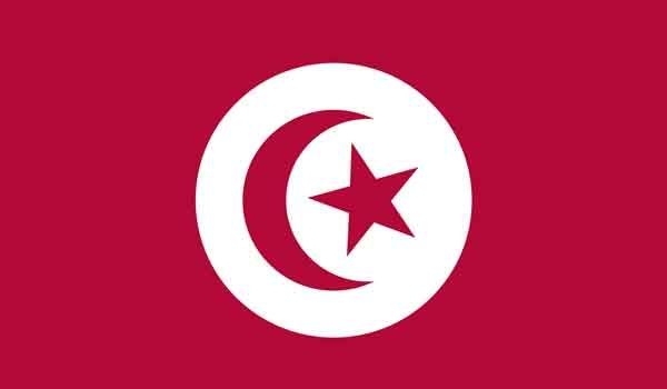 3' x 5' Tunisia High Wind, US Made Flag