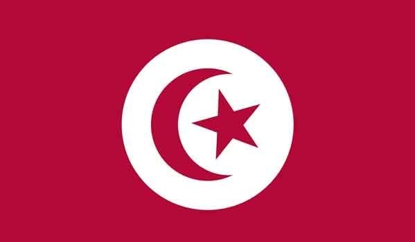 4' x 6' Tunisia High Wind, US Made Flag