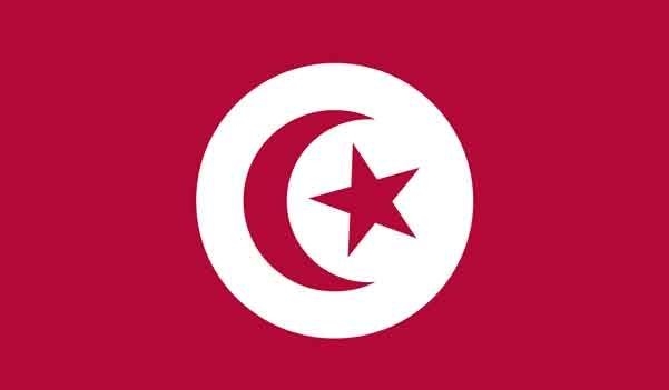 5' x 8' Tunisia High Wind, US Made Flag