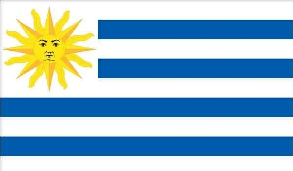 2' x 3' Uruguay High Wind, US Made Flag
