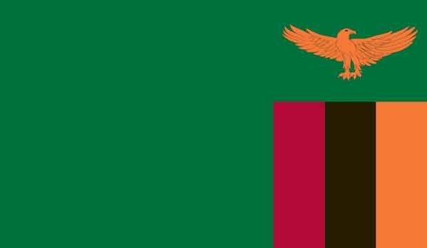 2' x 3' Zambia High Wind, US Made Flag