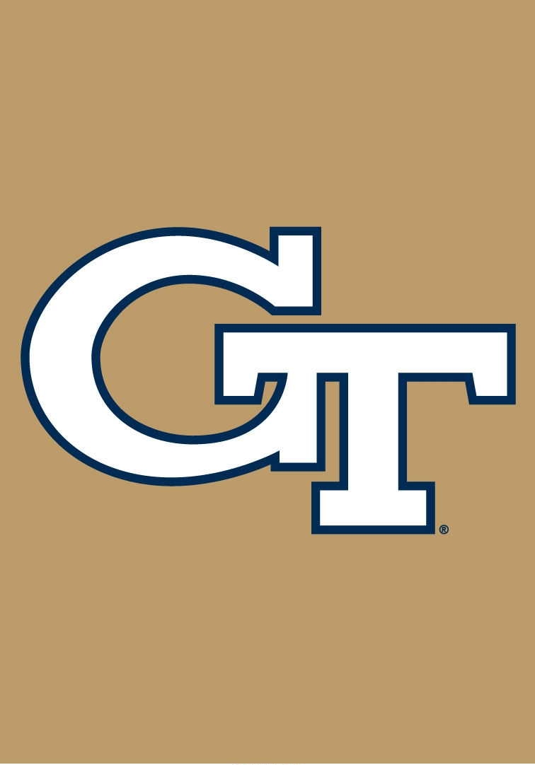 Georgia Tech Yellow Jackets Garden Window Flag 15" x 10.5"