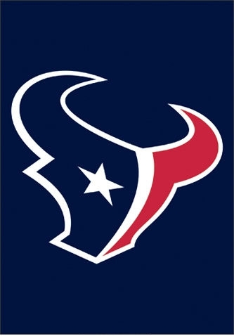 Texans Mini Flag 15" x 10 1/2"