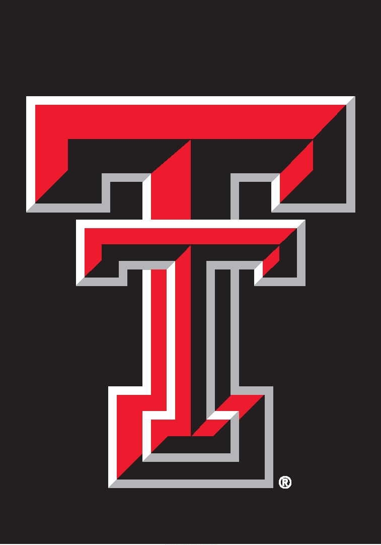 Texas Tech Red Raiders Garden Window Flag 15" x 10.5"