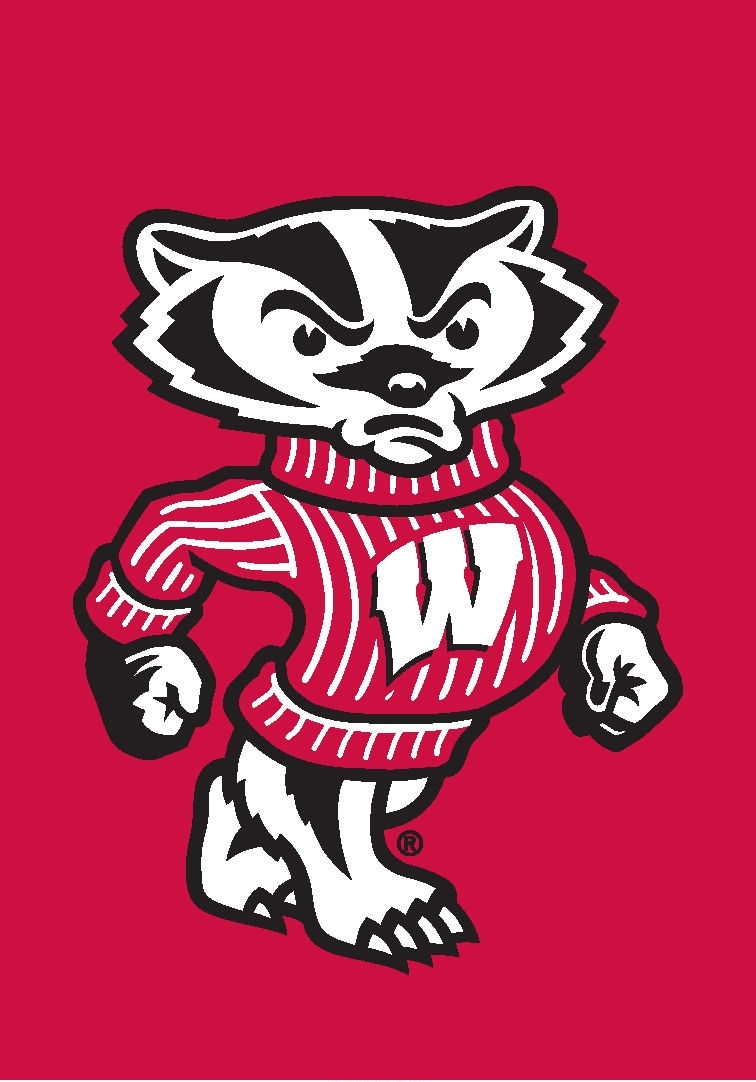 Wisconsin Badgers Garden Window Flag 15" x 10.5"