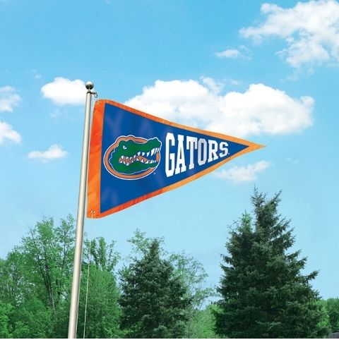Florida Gator Giant Pennant Flag 3' x 5'